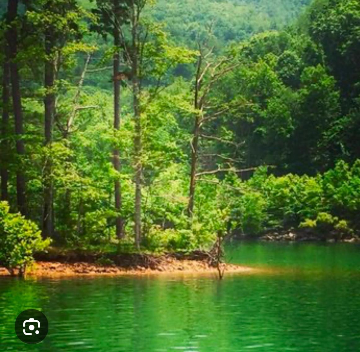 Monarch Mountain Cabins Cabin A Tennessee Thyme Elizabethton 외부 사진