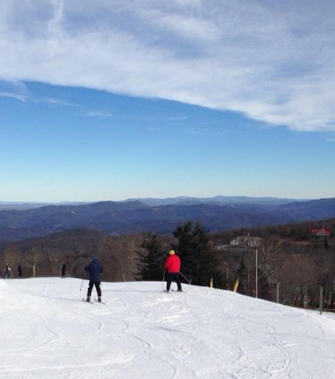 Monarch Mountain Cabins Cabin A Tennessee Thyme Elizabethton 외부 사진